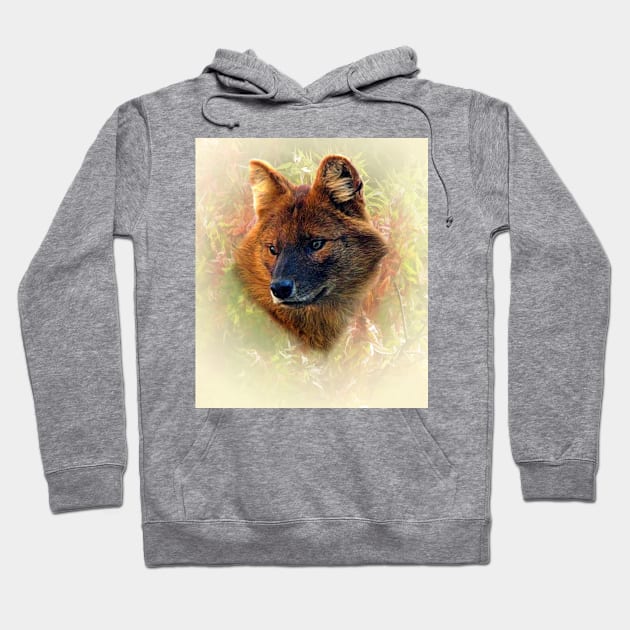 Asian wild dog Hoodie by Guardi